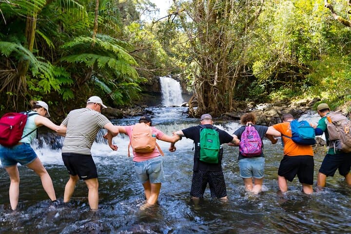 East Maui Waterfalls and Rainforest Hike on the Road to Hana photo 3