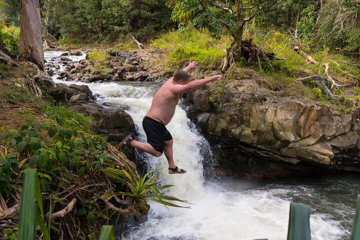East Maui Waterfalls and Rainforest Hike on the Road to Hana