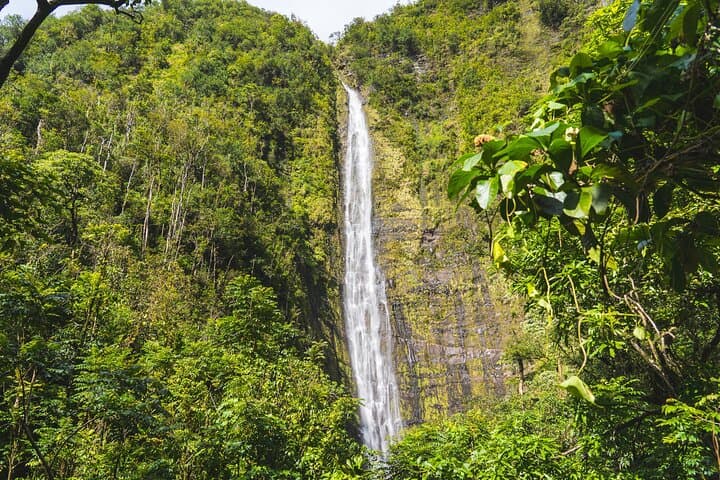 Hana Highway to Seven Sacred Pools: Full-Day Waterfall Hike from Kahului