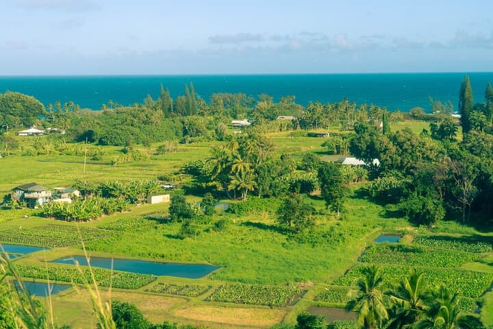 Hana Highway to Seven Sacred Pools: Full-Day Waterfall Hike from Kahului photo 5