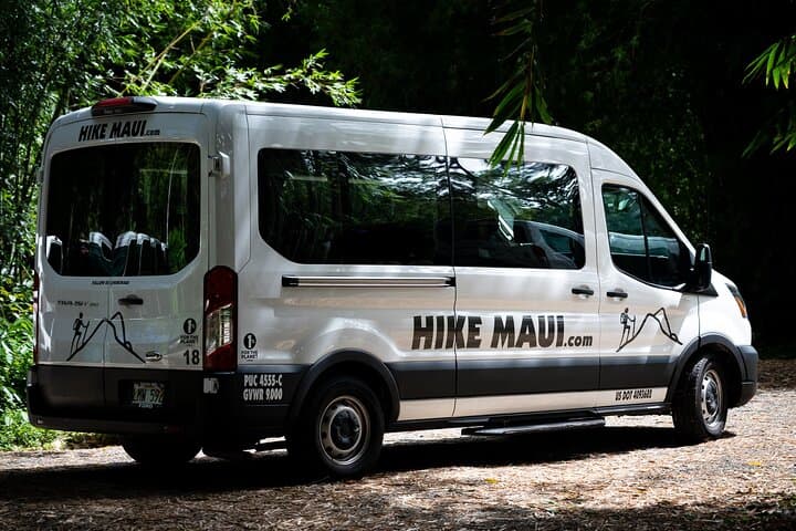 Hana Highway to Seven Sacred Pools: Full-Day Waterfall Hike from Kahului photo 3