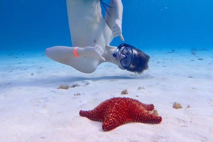 Cozumel Snorkel Adventure: El Cielo & El Cielito Catamaran photo 5
