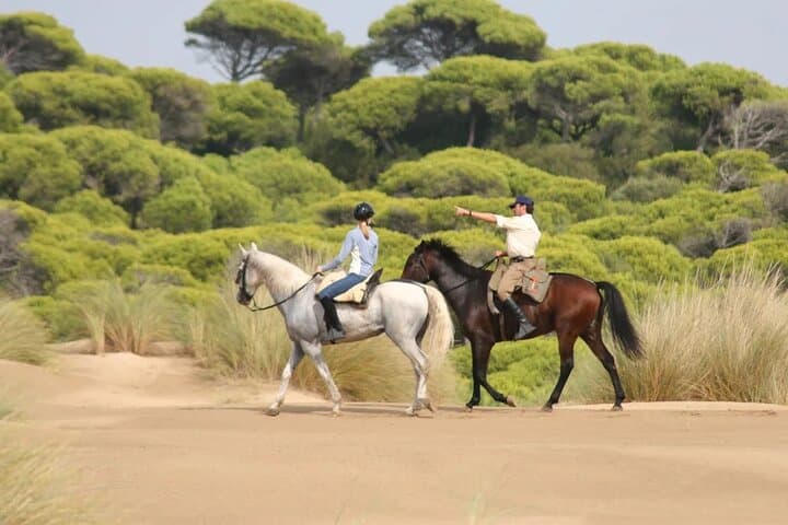 Horseback riding in La Calera to San Rafael Reservoir with lunch at Andrés Carne de Res