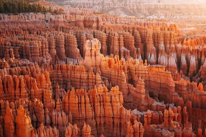 Southwest National Parks Loop: 6-Day Lower Antelope Canyon & Grand Canyon Tour from Los Angeles photo 6