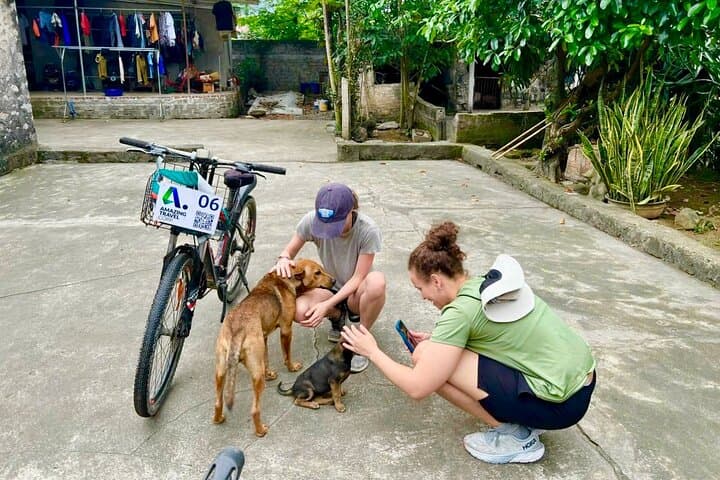 Hanoi to Ninh Binh Day Trip — Mua Cave, Tam Coc Sampan & Hoa Lu Ancient Capital photo 3
