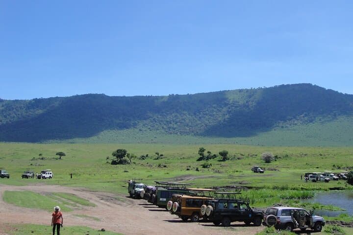3-Day Fly-In Safari: Serengeti & Ngorongoro Private Tour from Zanzibar