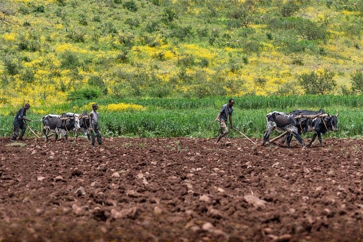 7-Day Private Eritrea Tour: Asmara, Qohaito, Keren & Massawa photo 3
