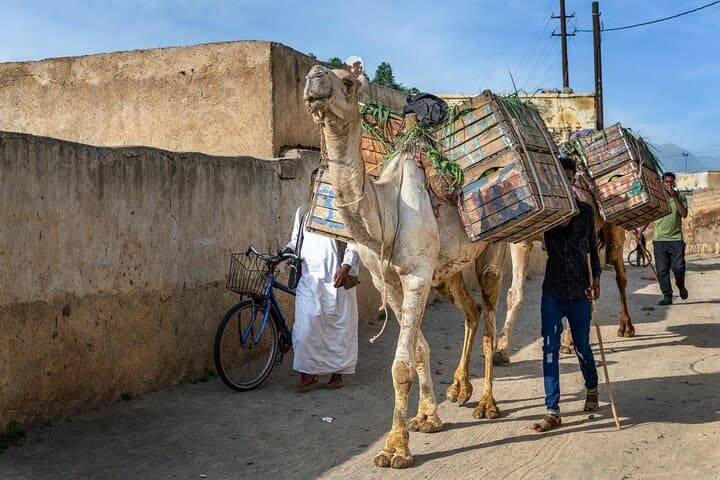7-Day Private Eritrea Tour: Asmara, Qohaito, Keren & Massawa photo 5