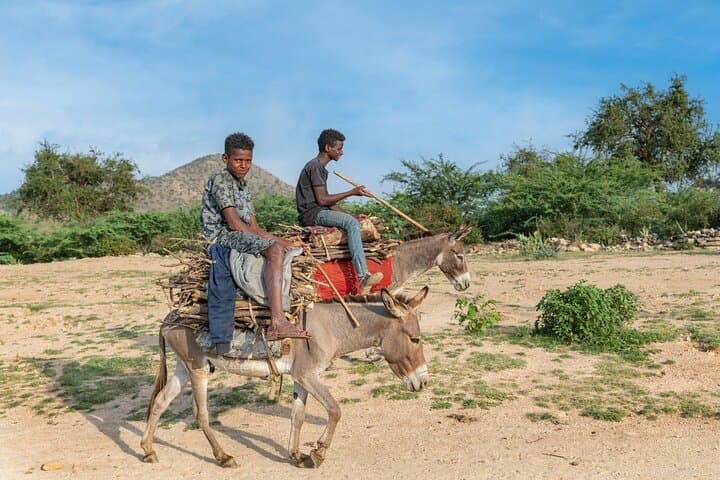 8-Day Eritrea Adventure: Asmara Architecture, Qohaito Ruins & Dahlak Archipelago photo 2