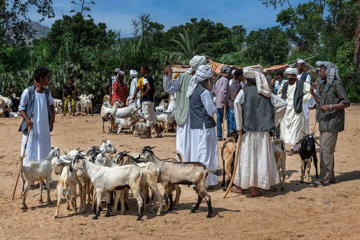 8-Day Eritrea Adventure: Asmara Architecture, Qohaito Ruins & Dahlak Archipelago photo 4