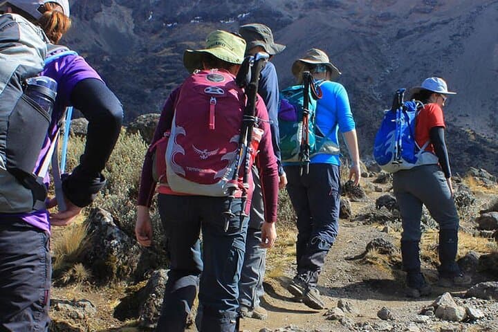 Conquering Kilimanjaro: A 7-Day Journey on the Machame Route photo 4