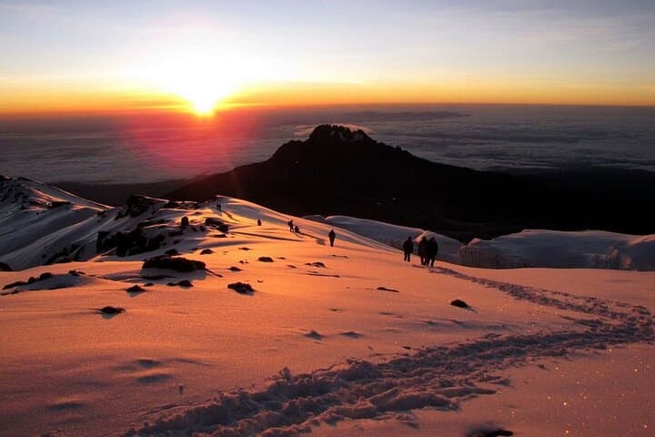 Conquer Kilimanjaro’s Umbwe Route: 6-Day Climb Through Tanzania’s Wildest Terrain photo 2