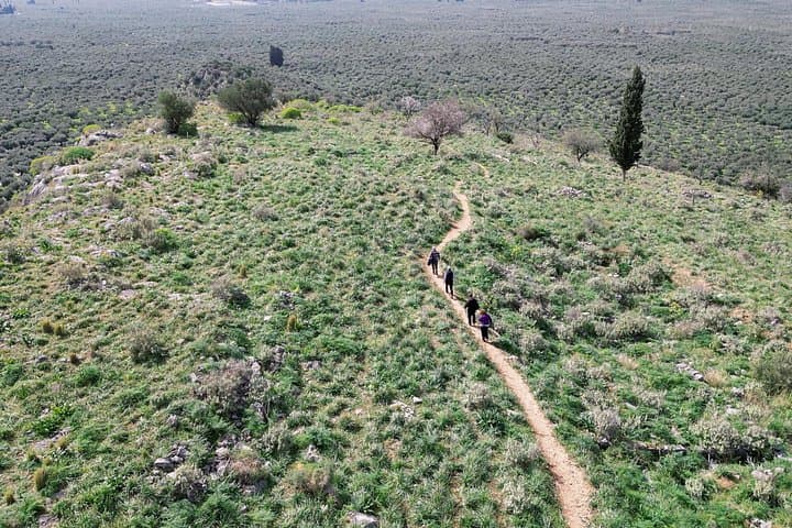 Hike the Ancient Olive Path from Delphi to Aggali: Oracle Valley Trail photo 4