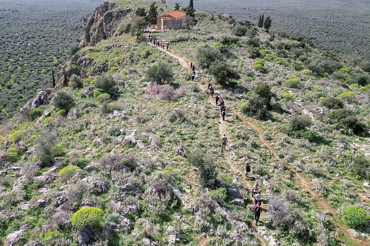 Hike the Ancient Olive Path from Delphi to Aggali: Oracle Valley Trail photo 5