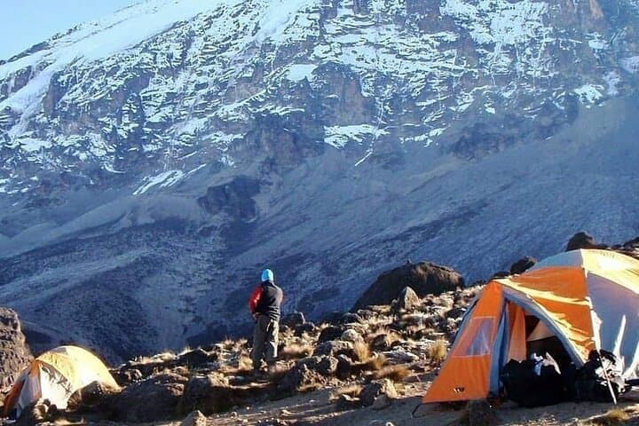 Conquer Kilimanjaro’s Umbwe Route: 6-Day Climb Through Tanzania’s Wildest Terrain