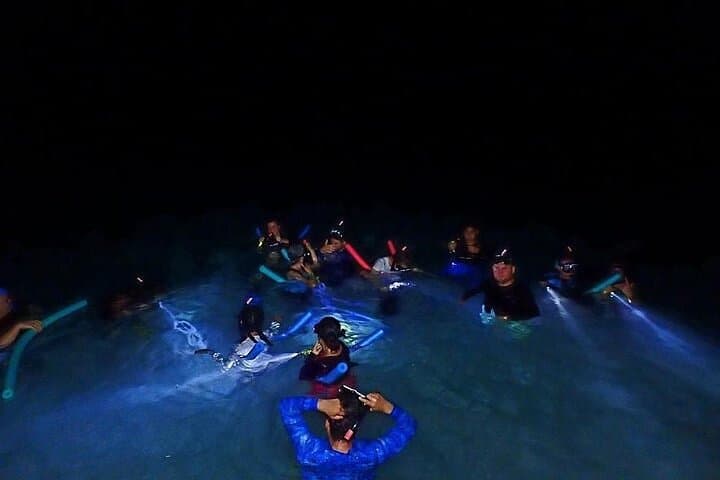 Roatan Night Snorkel Adventure: Explore the Reef After Dark photo 3