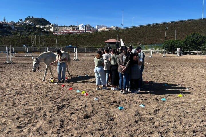Horses and Coaching: Transformational Equine Experience in Gran Canaria photo 2