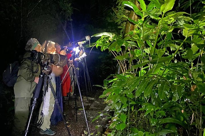La Fortuna Night Tour: Private 2-Hour Rainforest Walk at Ecocentro Danaus photo 3