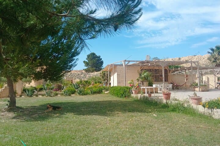 Marsala Underground: Explore the Quarry Cathedrals and Subterranean Walk photo 5