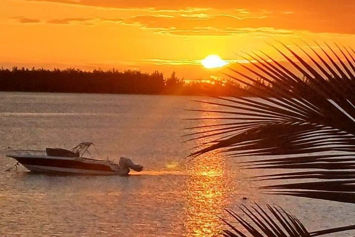 La Gaulette Dolphin Watching & Snorkeling — Private Early-Morning Boat for Two photo 4