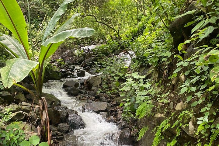 Santa Cruz Hidden Waterfalls & Secret Paradise Hike at Lake Atitlan photo 2