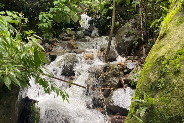Santa Cruz Hidden Waterfalls & Secret Paradise Hike at Lake Atitlan photo 4
