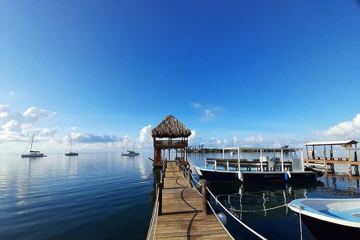 Snorkel Roatán: One-Stop Reef & Beach Break at Coco View, BFK and French Cay photo 3