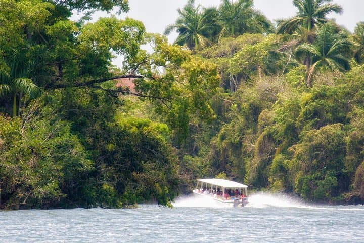 Private Cave Tubing and Zipline Adventure from Belize City photo 3