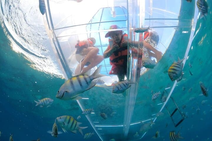 Clear Boat Tour Cozumel — See Shipwrecks & Snorkel Vibrant Reefs photo 3