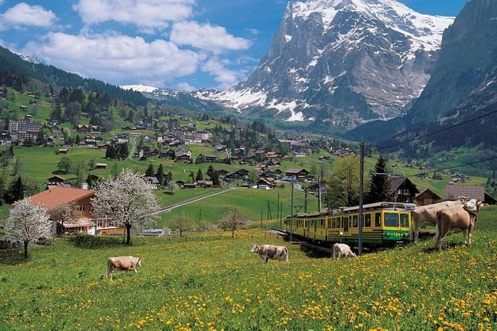 Bernese Oberland Day Trip: Grindelwald, Lauterbrunnen & Mürren from Zurich photo 4