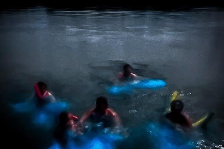 Bioluminescent Night Cruise & Nylon Pool Swim from Buccoo, Tobago