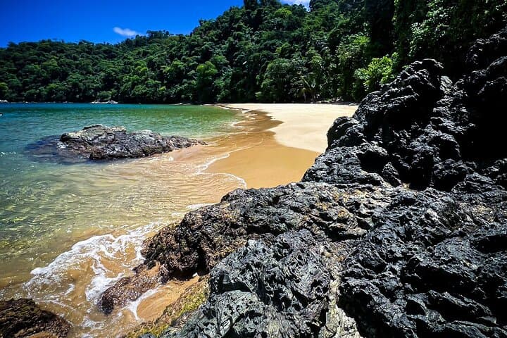 Coastline Snorkel and BBQ in Tobago: Buccoo Reef Dolphins, Turtles & Open-Boat BBQ
