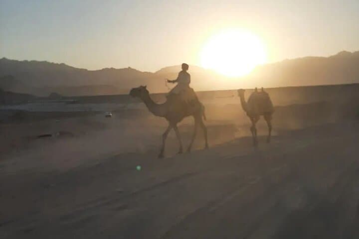 Sinai Super Safari: Quad, Camel & Stargazing Evening from Sharm El Sheikh photo 6