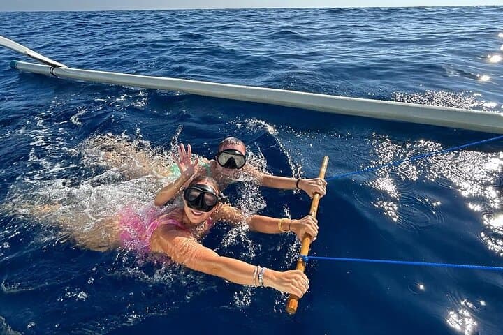 Lovina Dolphin Watching: Swim with Wild Dolphins and Morning Snorkel