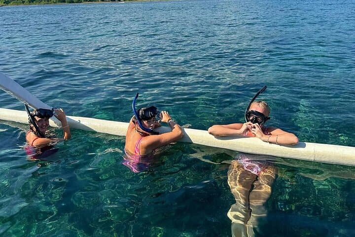 Lovina Dolphin Watching: Swim with Wild Dolphins and Morning Snorkel photo 2