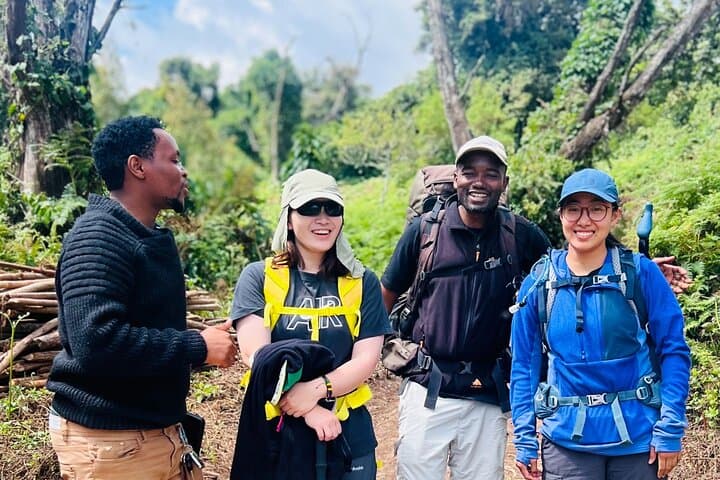 7-Day Machame Route Kilimanjaro Climb — Guided Trek to Uhuru Peak photo 2
