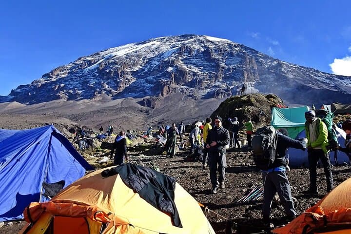 Conquer Kilimanjaro’s Umbwe Route: 6-Day Climb Through Tanzania’s Wildest Terrain photo 3