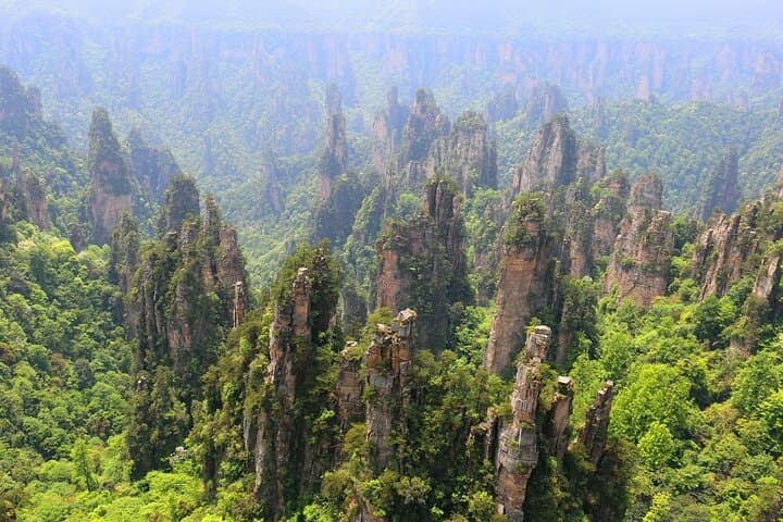 Yuanjiajie & Tianzi Mountain Day Tour — Bailong Elevator, Sky Pillar and Rice Fields in the Air photo 4