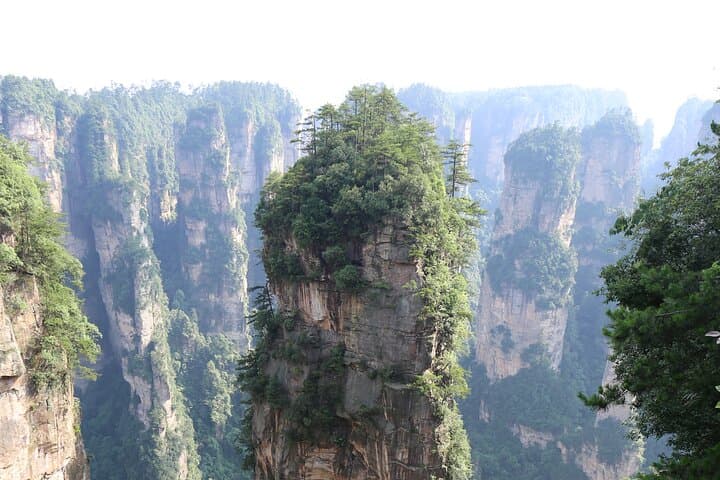 Yuanjiajie & Tianzi Mountain Day Tour — Bailong Elevator, Sky Pillar and Rice Fields in the Air photo 5