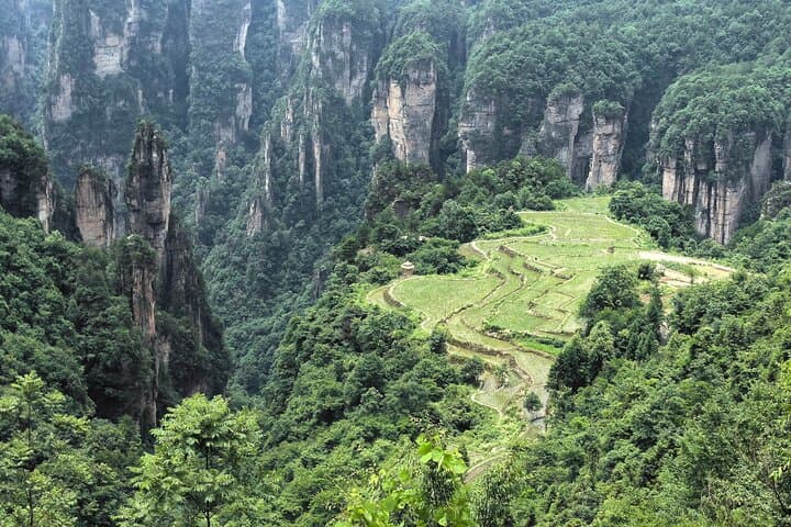 Yuanjiajie & Tianzi Mountain Day Tour — Bailong Elevator, Sky Pillar and Rice Fields in the Air photo 2