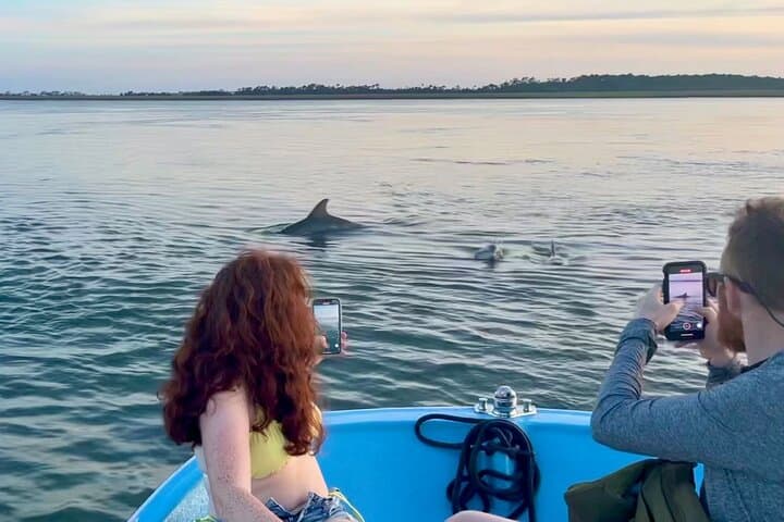 Morris Island Dolphin Cruise and Shelling Trip from Folly Beach
