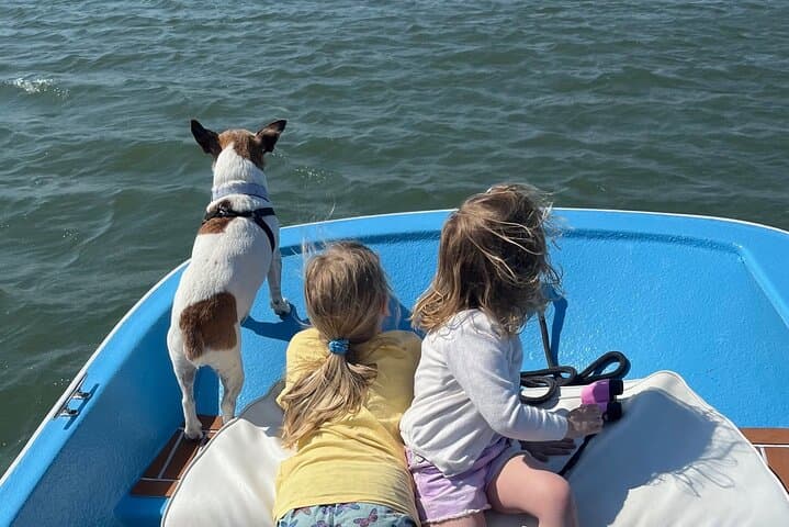 Morris Island Dolphin Cruise and Shelling Trip from Folly Beach photo 6