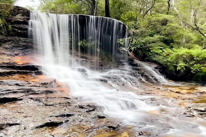 Wild Kangaroos, Blue Mountains & Parramatta River Cruise: A Day from Sydney photo 4