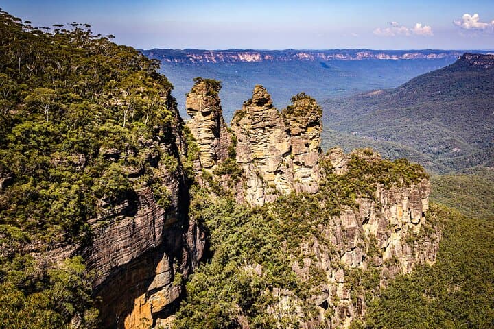 Wild Kangaroos, Blue Mountains & Parramatta River Cruise: A Day from Sydney photo 5