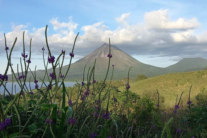 Arenal Volcano Hike: Peak Pursuit Guided Trail in La Fortuna photo 2