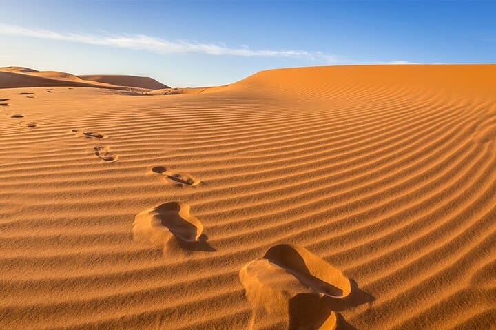 Agadir to Mini Sahara, Tiznit & Souss Estuary — Day Tour (8am–5pm) photo 1