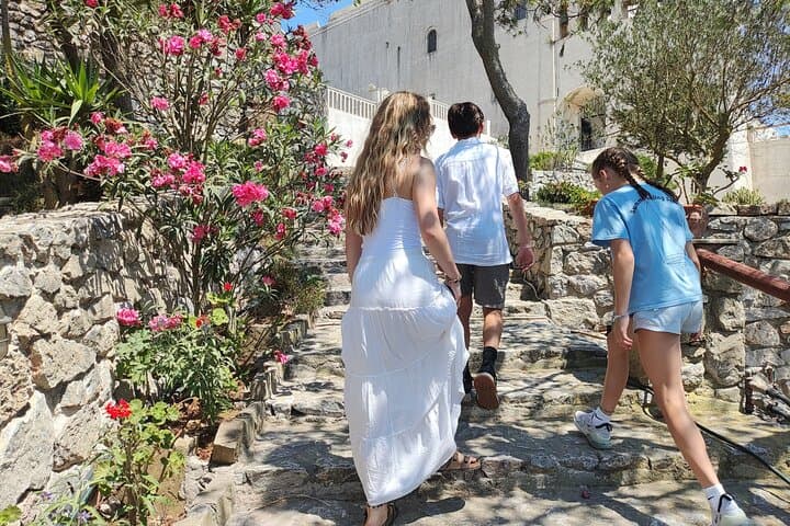 Santorini Private Sightseeing Tour — Oia, Fira & Red Beach in One Day photo 6