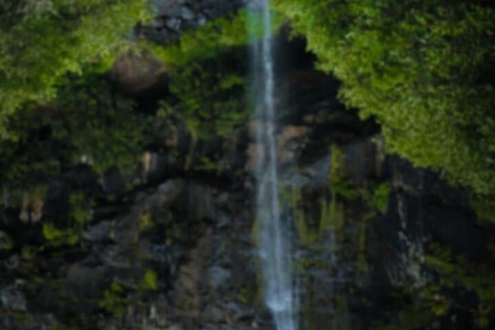 Tamarind Falls (7 Cascades) Half-Day Hike — Off-Trail Waterfalls & Gorge Adventure photo 4
