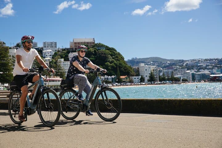 Wellington Self-Guided Electric Bike Tour: Waterfront, Bays & Lookouts
