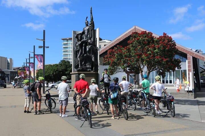 Wellington eBike Shore Excursion: Guided Waterfront & Miramar Tour photo 3
